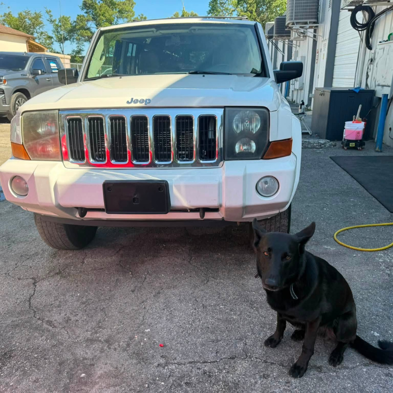 Jeep Commander freshly washed with Scout, our shop dog